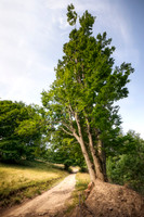Country Road