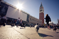 Pigeons and People at Piazza San Marco