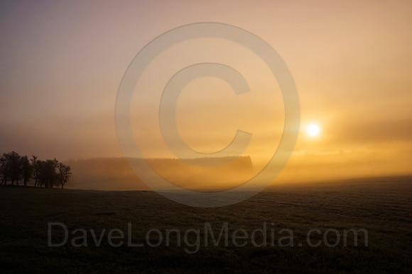 Misty Sunrise
