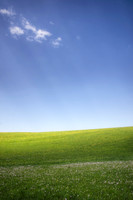 Sun Rays on a Grassy Landscape