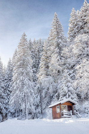 Cabin in a Winter Forest