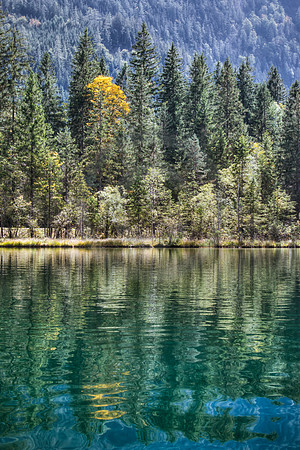 Alpine Lake Reflections