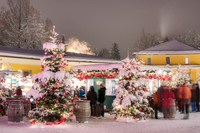 Christmas Market in Europe