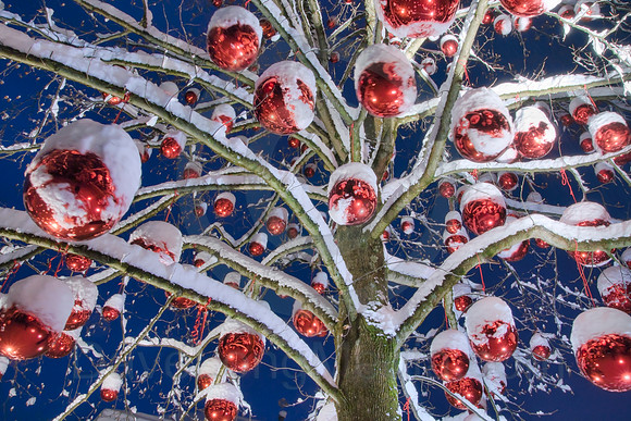 Christmas Decorations