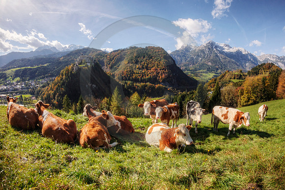 Austrian Alps