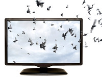 TV in 3D