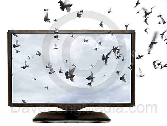 TV in 3D