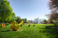 New England Schoolyard