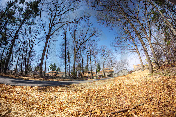 Bark Mulch in Condominium Community