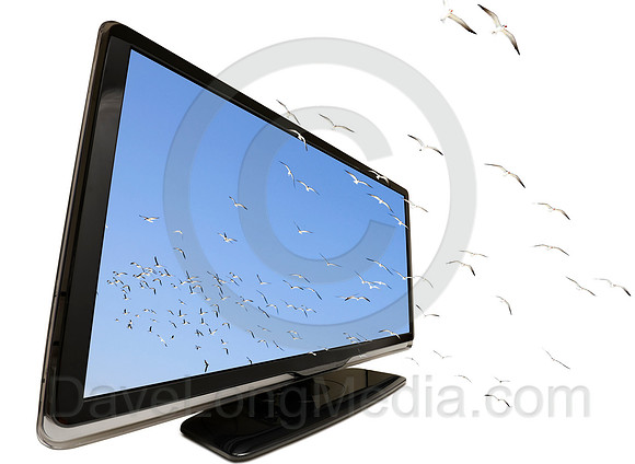 TV in 3D