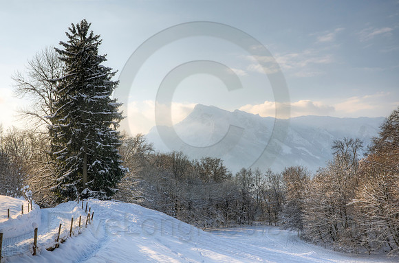 Winter Morning in the Alps