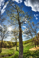 Fish Eye Landscape