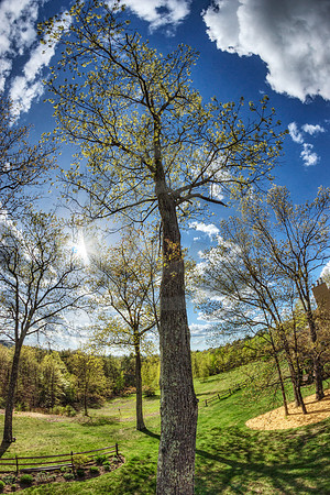 Fish Eye Landscape