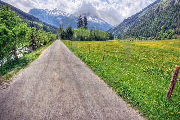 Dirt Road in the Alps