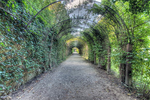 Passage of Life