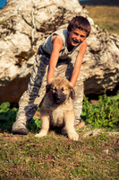 Bosniak Boy and Šarplaninac Pup
