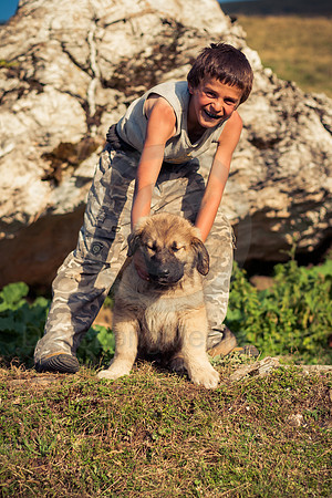 Bosniak Boy and Šarplaninac Pup