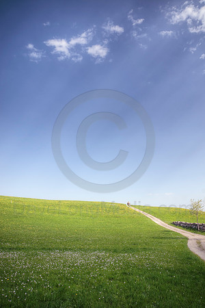 Sun Rays on a Grassy Landscape
