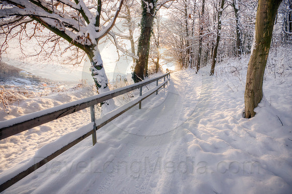 Morning Walk in the Snow