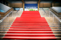 Cannes Red Carpet
