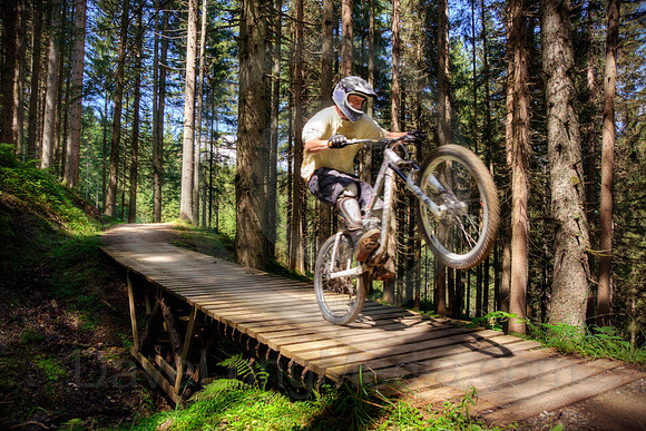 Forest Mountain Biker