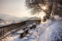 Snowy Morning in Europe