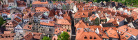 European Rooftops